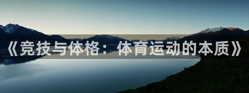 球速体育