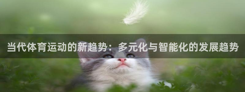 球速体育