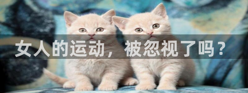 球速体育