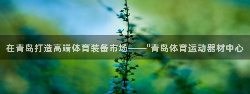 球速体育