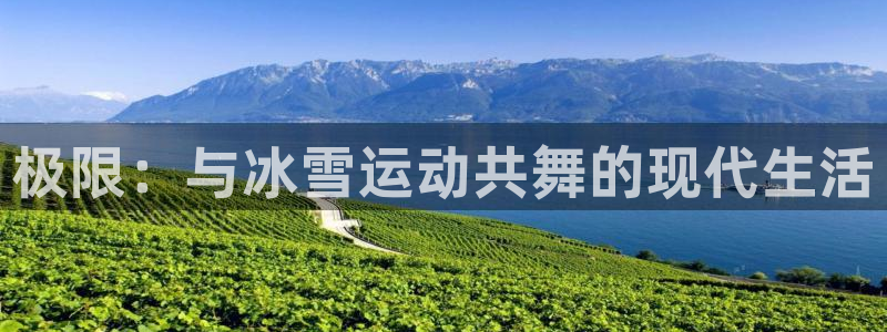 球速体育
