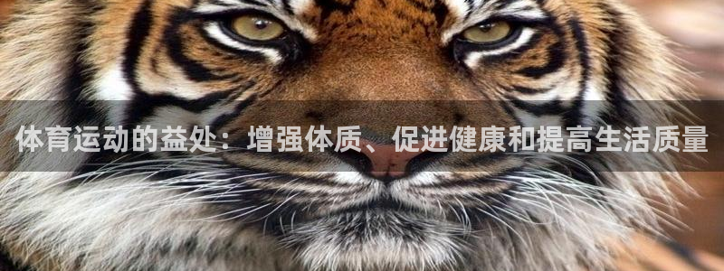 球速体育