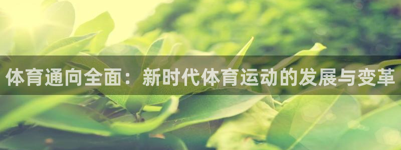 球速体育