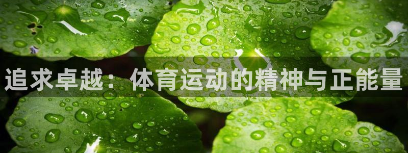球速体育