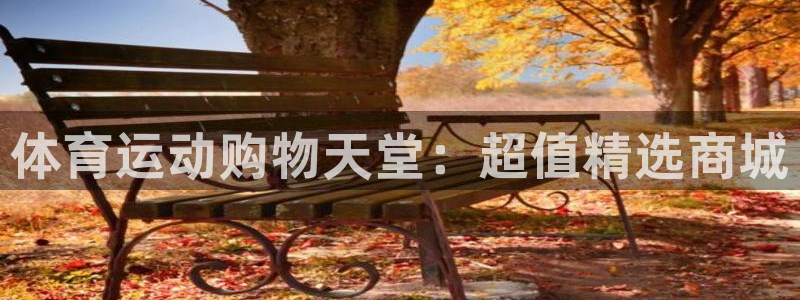 球速体育